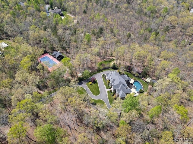 10333 Sonny Meadows Ln, Hanover, VA 23116 - view from above of property featuring a heavily wooded area and a pool area