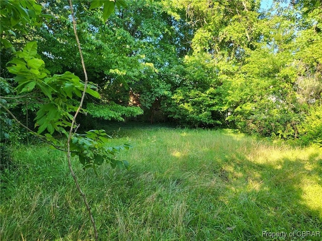 122 Longhill Rd, Williamsburg, VA 23185 - view of local wilderness