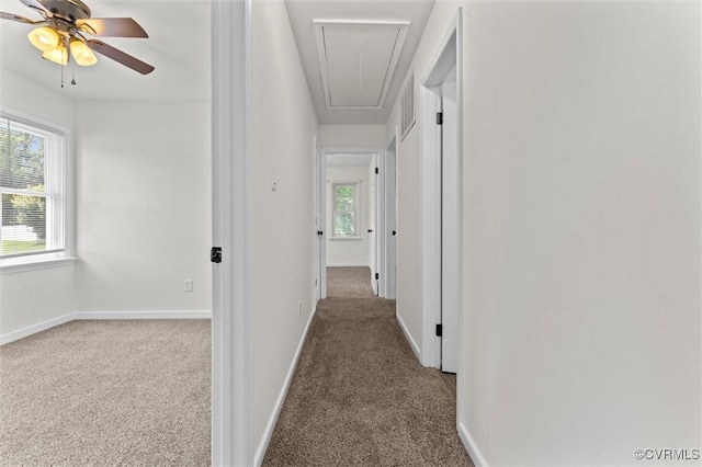 7470 Old Grove Gln, Mechanicsville, VA 23111 - hall with attic access, carpet flooring, and healthy amount of natural light