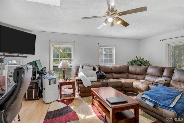 1007 Bolton Rd, Richmond, VA 23225 - living area featuring light wood finished floors, healthy amount of natural light, ceiling fan, and a textured ceiling