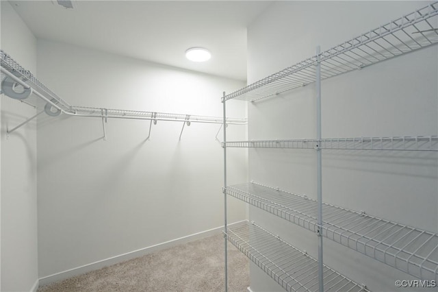 11405 Friars Walk Ct, Glen Allen, VA 23059 - walk in closet with carpet floors
