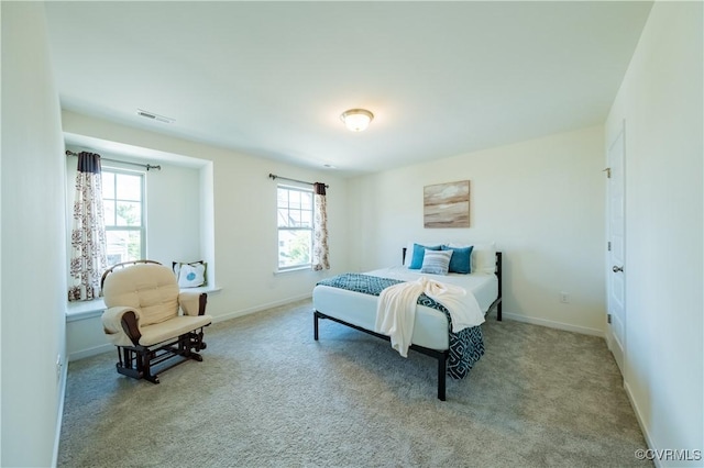 10825 Porter Park Ln, Glen Allen, VA 23059 - photo 37