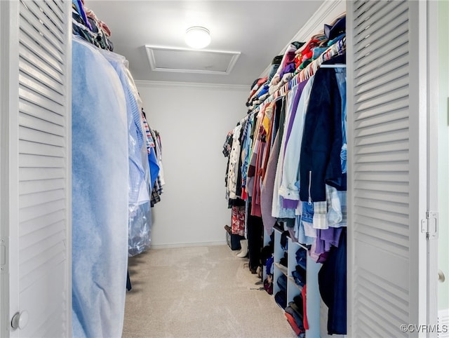 8314 Erma Ln, Richmond, VA 23229 - walk in closet with attic access and carpet floors