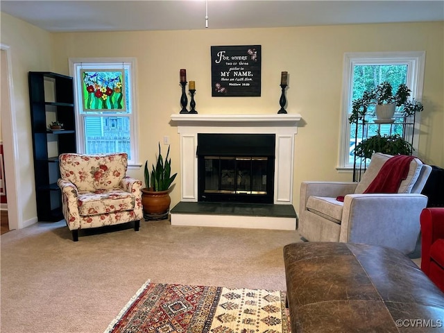 2205 Cox Rd, Henrico, VA 23233 - carpeted living area with a glass covered fireplace