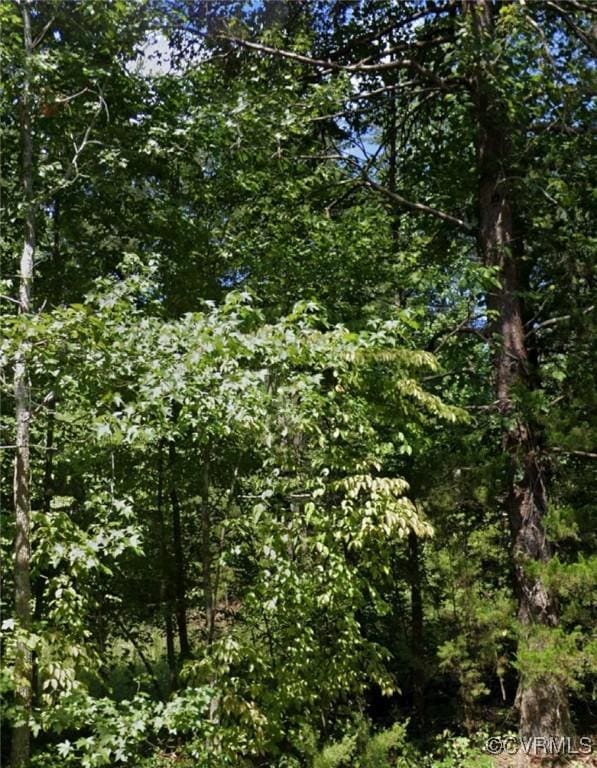 0 New Line Rd, Goochland, VA 23065