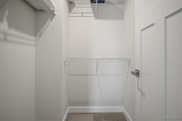 7653 Autumn Leaves Ln, New Kent, VA 23124 - view of walk in closet