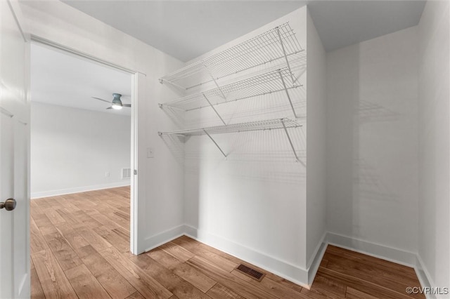 699 Trimmers Shop Rd, King William, VA 23181 - walk in closet with light wood-style floors and a ceiling fan