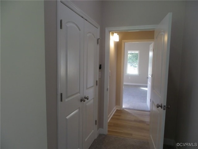 1120 Halifax St, Petersburg, VA 23803 - hall with light carpet