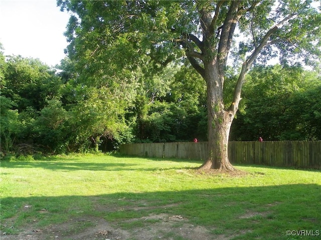 1120 Halifax St, Petersburg, VA 23803 - view of yard