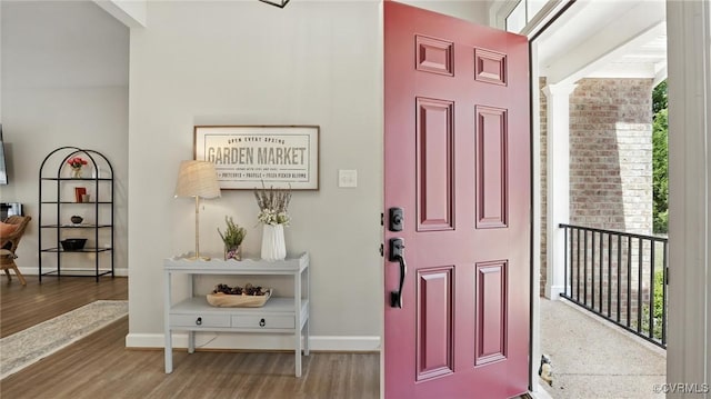 5080 Brandon Pines Way, Providence Forge, VA 23140 - entryway with plenty of natural light and wood finished floors