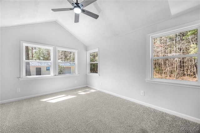 9818 George Washington Memorial Hwy, Gloucester, VA 23061 - photo 16