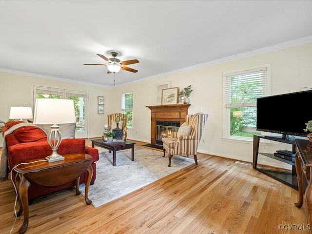 14107 Laurel Trail Pl, Midlothian, VA 23112 - living area with light wood-type flooring, ceiling fan, a fireplace with flush hearth, and crown molding