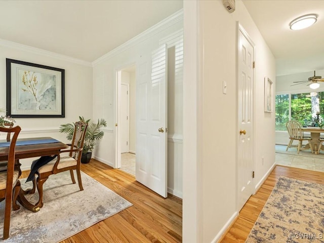 14107 Laurel Trail Pl, Midlothian, VA 23112 - office featuring light wood-style floors, crown molding, and ceiling fan