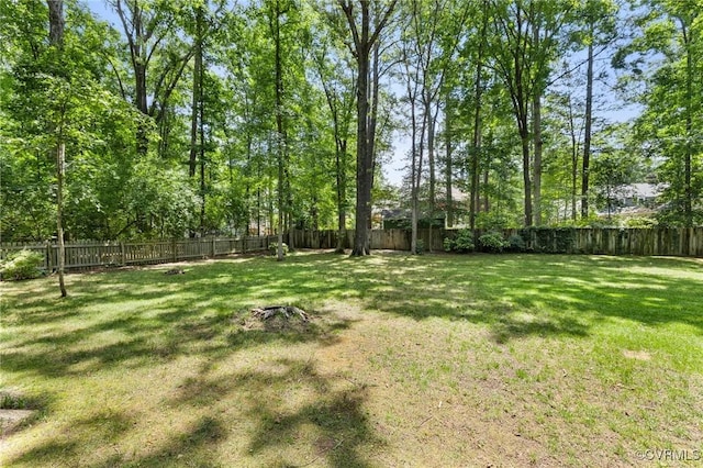 1610 Swansbury Dr, Henrico, VA 23238 - photo 40