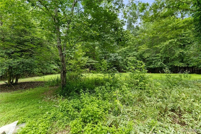 14124 River Rd, Chesterfield, VA 23838 - photo 29