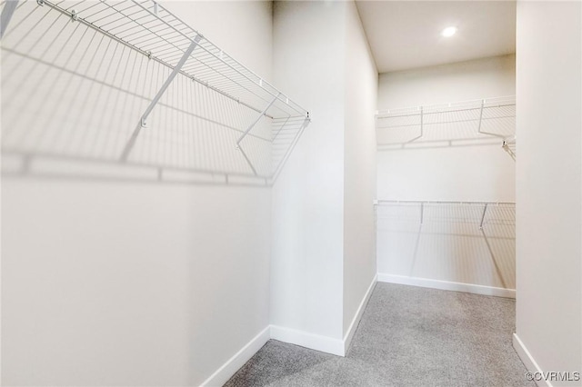 3900 Maze Runner Dr Unit 205, Chesterfield, VA 23112 - walk in closet featuring carpet