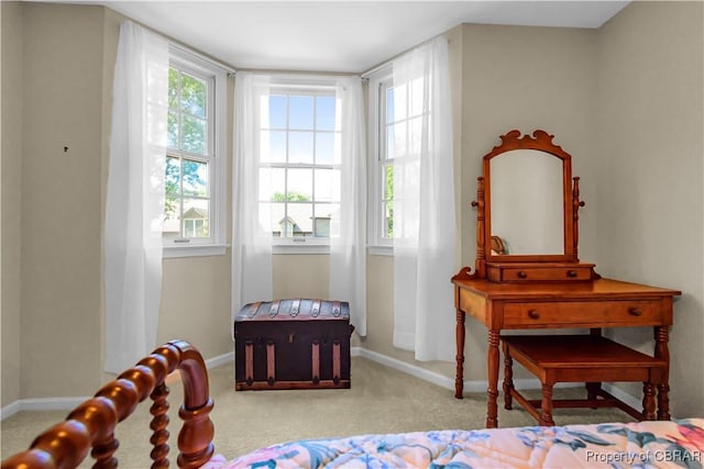 10 Heatherfield Ct Unit 10, Kilmarnock, VA 22482 - bedroom featuring carpet and baseboards