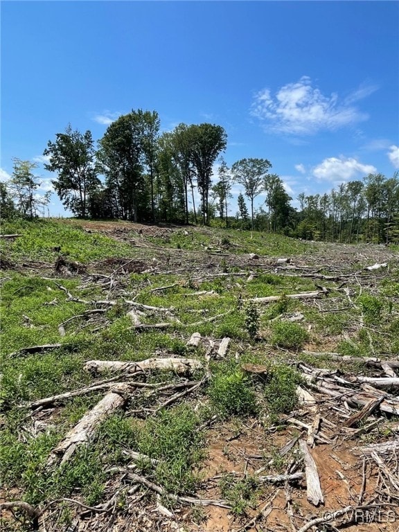 1815 Cartersville Rd, Cumberland, VA 23027 - view of nature