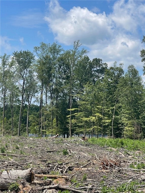 1815 Cartersville Rd, Cumberland, VA 23027 - view of tree filled area