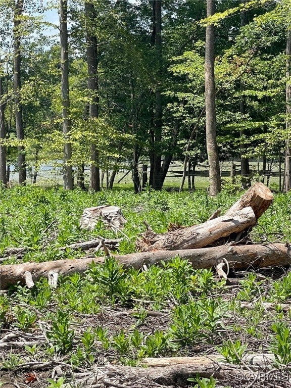 1815 Cartersville Rd, Cumberland, VA 23027 - view of local wilderness