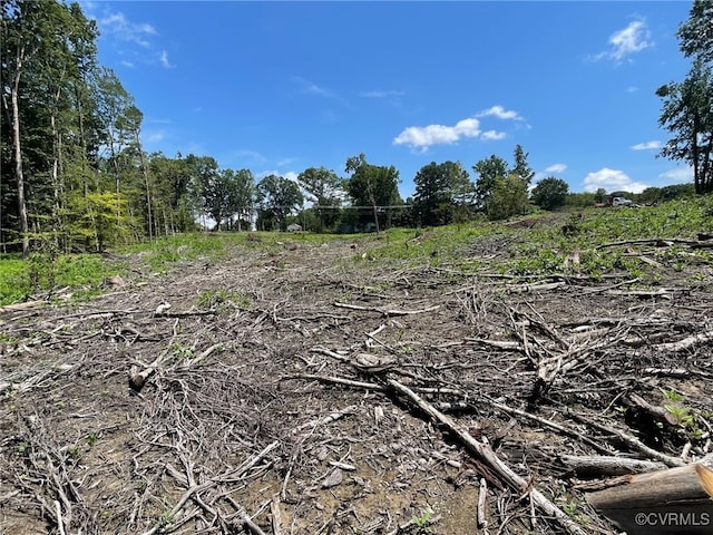 1815 Cartersville Rd, Cumberland, VA 23027 - view of local wilderness