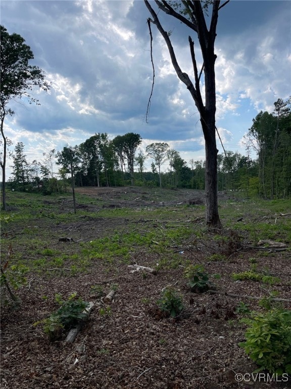 1815 Cartersville Rd, Cumberland, VA 23027 - view of yard