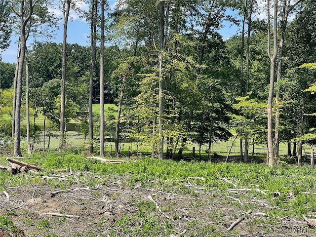 1815 Cartersville Rd, Cumberland, VA 23027 - view of undeveloped land