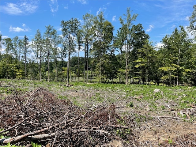 1815 Cartersville Rd, Cumberland, VA 23027 - view of undeveloped land