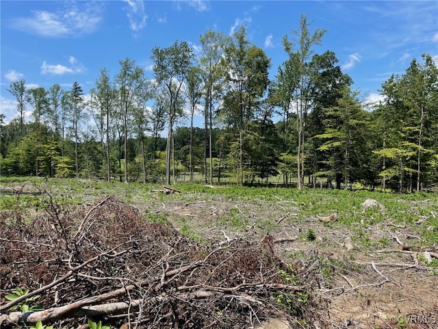 1815 Cartersville Rd, Cumberland, VA 23027 - view of undeveloped land