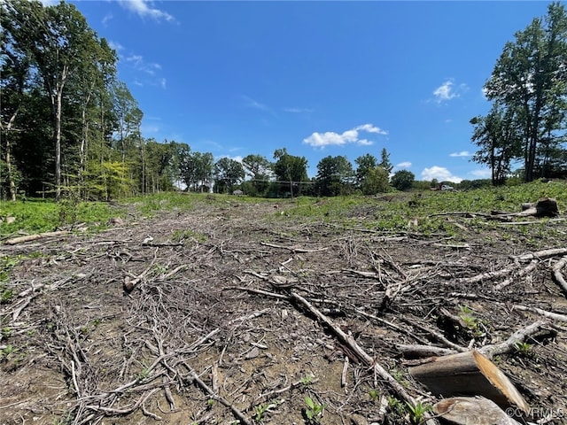 1815 Cartersville Rd, Cumberland, VA 23027 - view of undeveloped land
