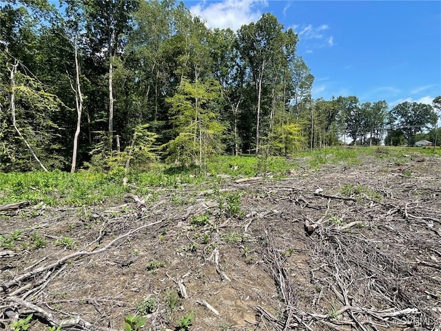 1815 Cartersville Rd, Cumberland, VA 23027 - view of local wilderness