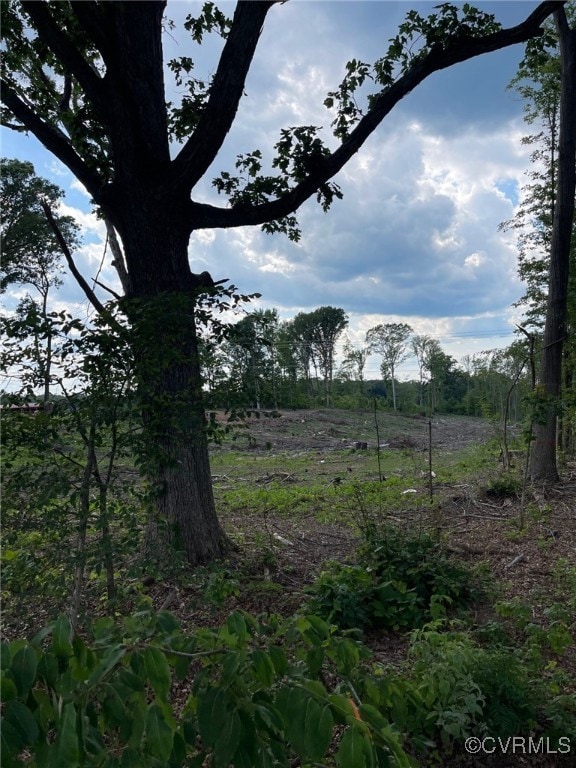 1815 Cartersville Rd, Cumberland, VA 23027 - view of undeveloped land