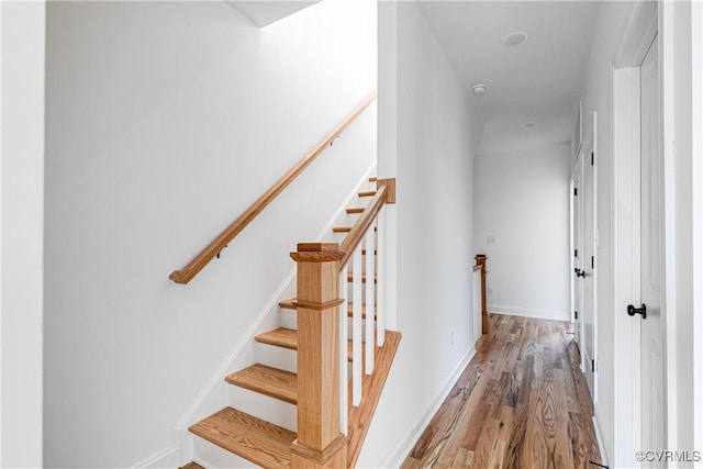 2909 P St, Richmond, VA 23223 - photo 31