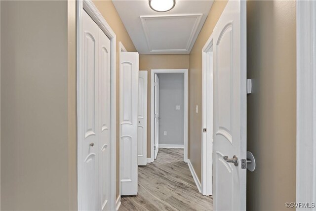 3605 Dupuy Rd, Chesterfield, VA 23803 - photo 9