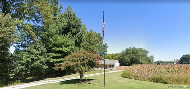 136 Twiggs Ferry Rd, Dutton, VA 23050 - photo 33
