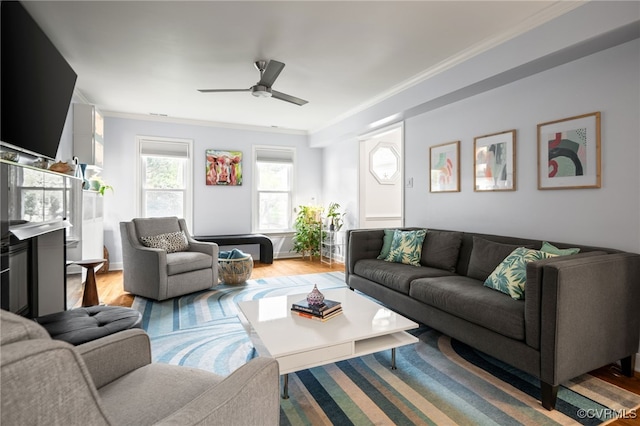 13926 Sagebrook Rd, Midlothian, VA 23112 - living area with ceiling fan, ornamental molding, and light wood finished floors