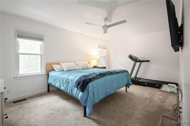 13926 Sagebrook Rd, Midlothian, VA 23112 - bedroom with carpet and a ceiling fan