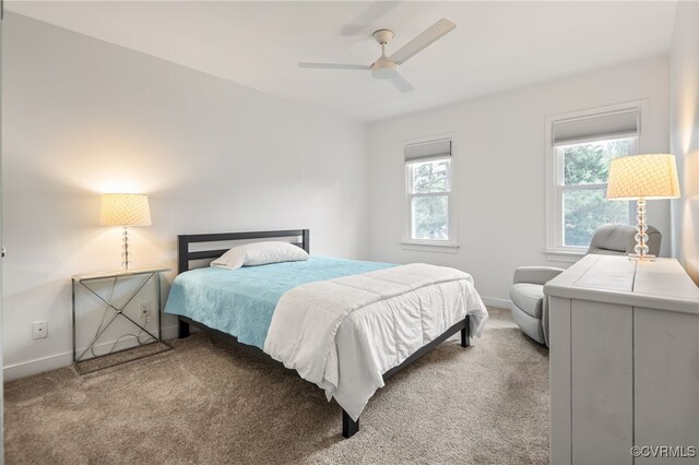 13926 Sagebrook Rd, Midlothian, VA 23112 - bedroom featuring carpet and ceiling fan