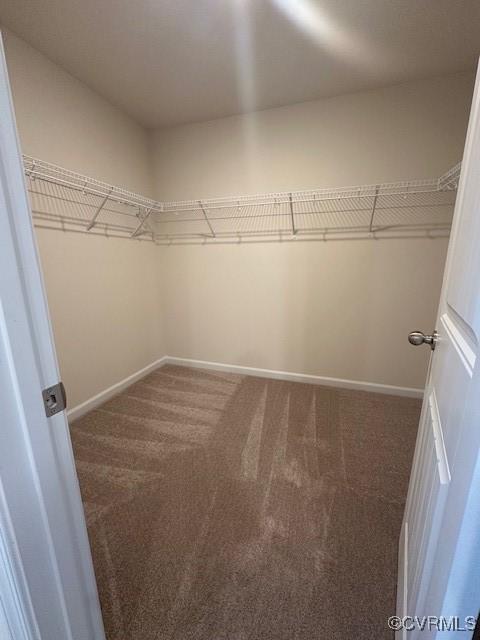 7079 Hepworth Dr, Henrico, VA 23231 - spacious closet with carpet