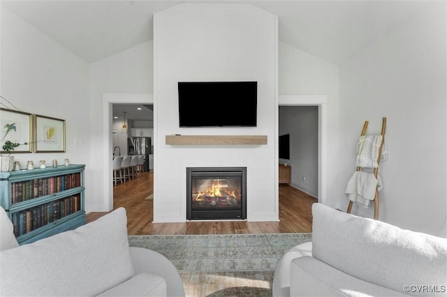 3616 Bonnies Way, Powhatan, VA 23139 - living area with wood finished floors, a glass covered fireplace, and high vaulted ceiling