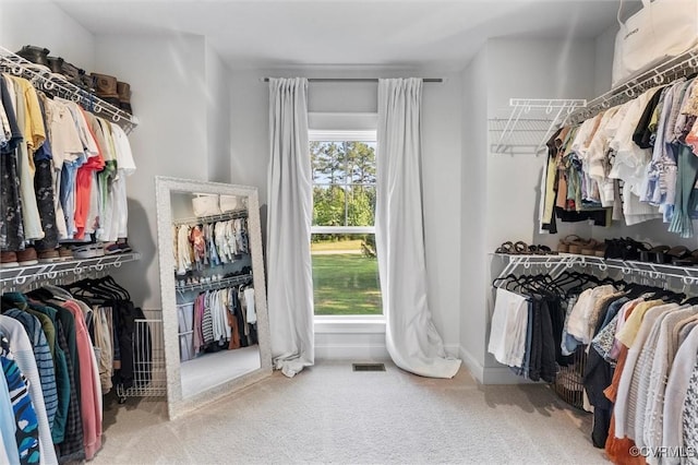 3616 Bonnies Way, Powhatan, VA 23139 - walk in closet featuring carpet flooring