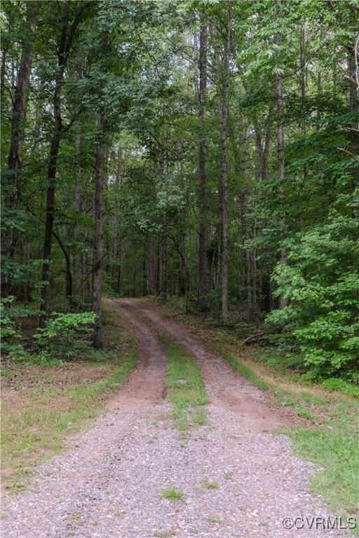 234 Bishop Creek Rd, Dillwyn, VA 23936 - photo 39