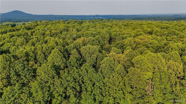 234 Bishop Creek Rd, Dillwyn, VA 23936 - photo 28