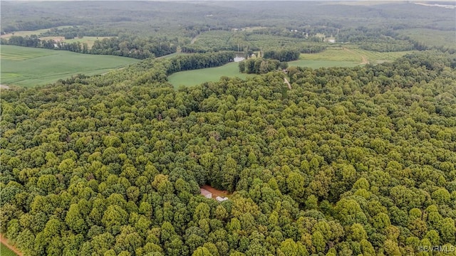 234 Bishop Creek Rd, Dillwyn, VA 23936 - photo 29