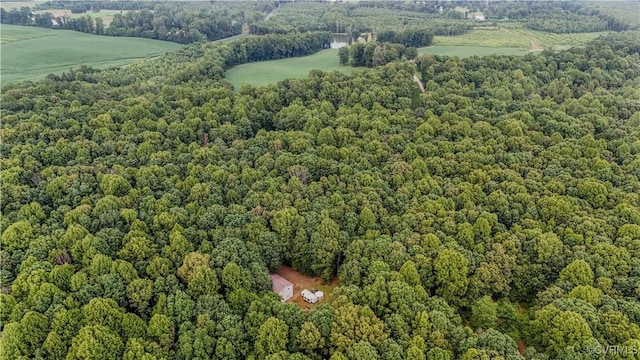 234 Bishop Creek Rd, Dillwyn, VA 23936 - photo 34