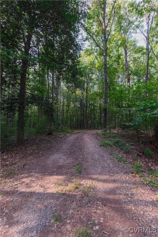 234 Bishop Creek Rd, Dillwyn, VA 23936 - photo 37