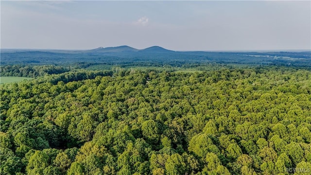 234 Bishop Creek Rd, Dillwyn, VA 23936 - photo 8