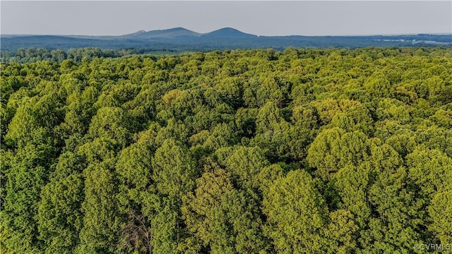 234 Bishop Creek Rd, Dillwyn, VA 23936 - photo 10