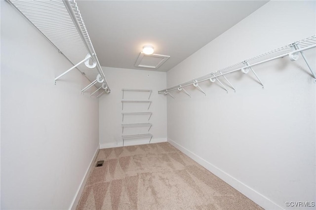 4357 Saunders Station Loop Unit B, Henrico, VA 23233 - walk in closet with carpet floors and attic access