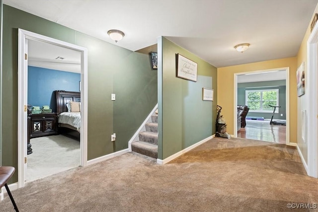 28 Millbrook Rd, Stafford, VA 22554 - photo 19